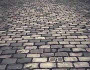 老玩家揭秘鉴黄师经验分享全流程