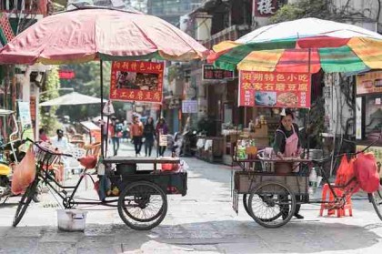 海角官网网址成长路径TOP10，高光瞬间权威解读